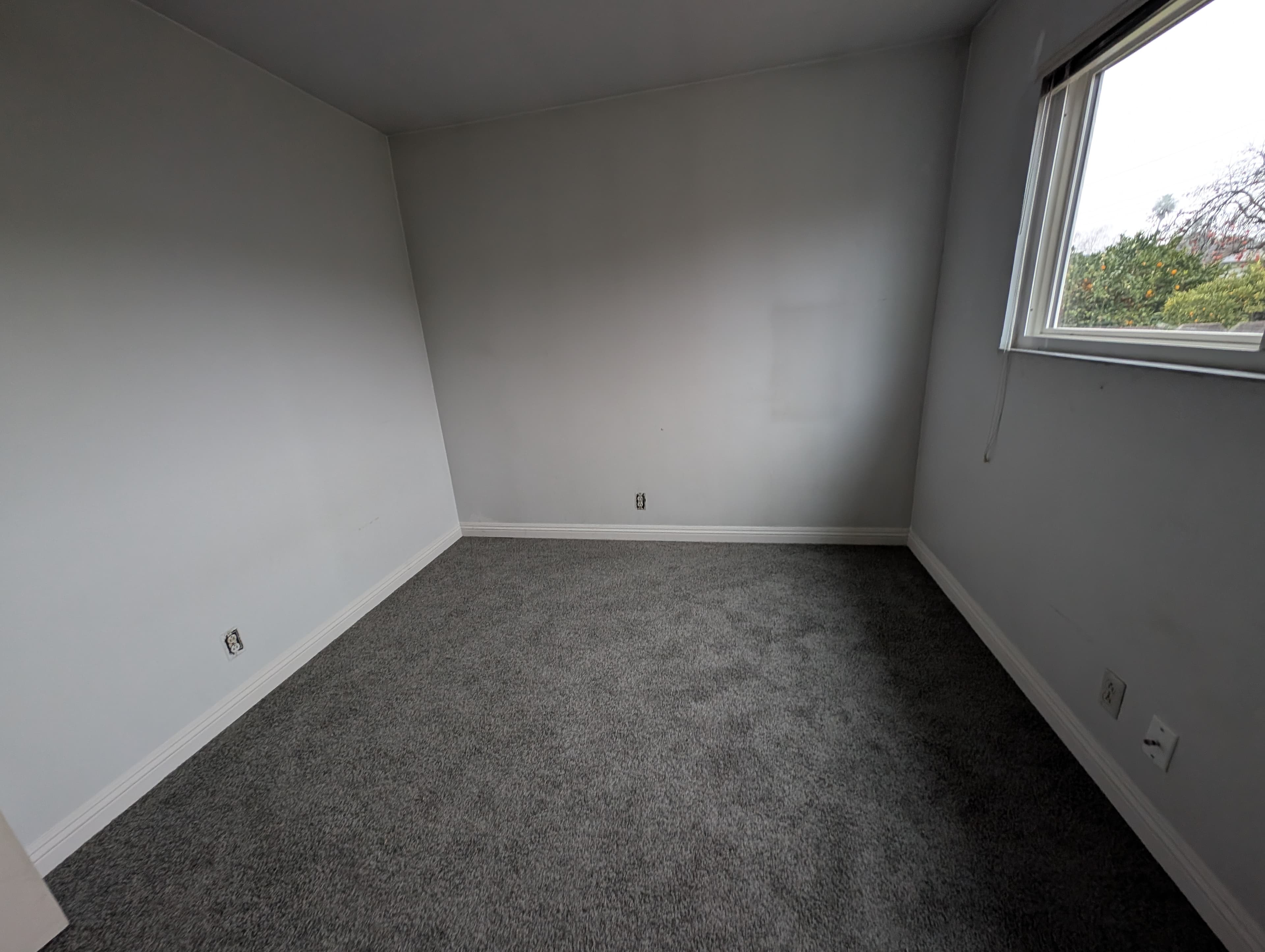 Painting & Flooring